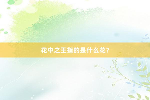 花中之王指的是什么花？